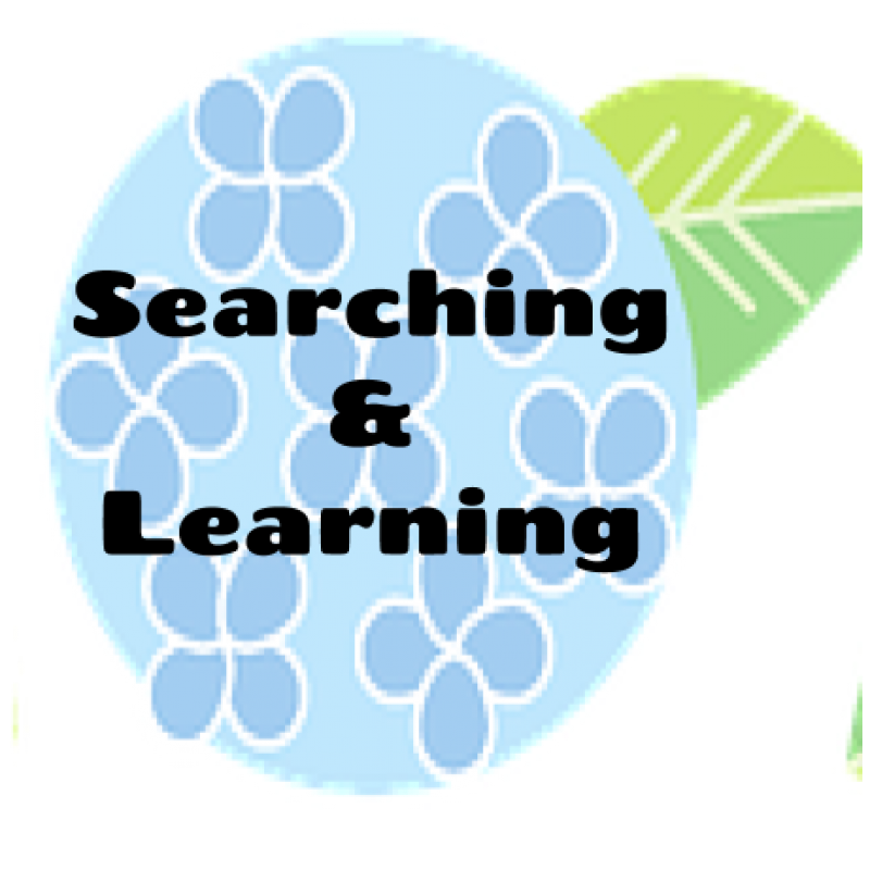 Searching and Learning